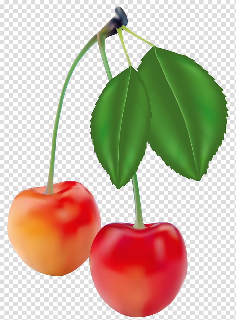 two red cherries illustration, Juice Fruit Vegetable Realism Drawing, Cherries transparent background PNG clipart