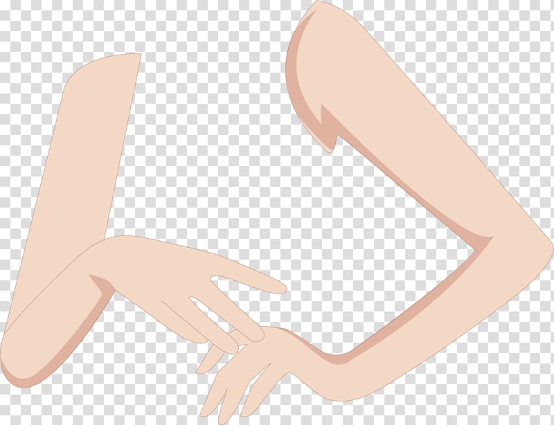 Thumb Hand model Shoulder Leg Muscle, painted arm transparent background PNG clipart