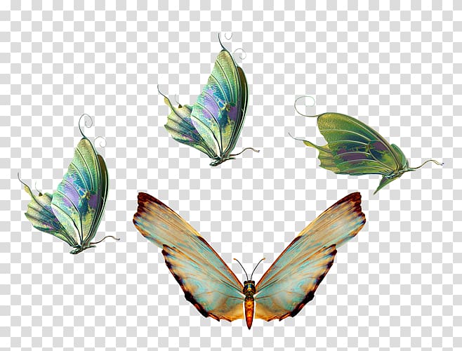 Butterfly Insect Transparency and translucency, butterfly transparent background PNG clipart