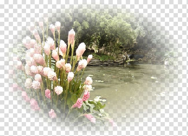 Flora Flower Petal Spring Framework, Paisajes transparent background PNG clipart