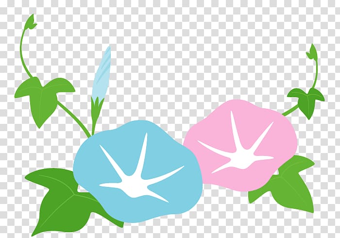 Japanese morning glory Petal Plant stem Grass, morning glory transparent background PNG clipart