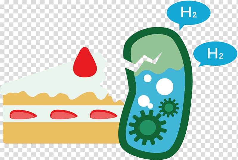 International Genetically Engineered Machine E. coli Plasmid Hydrogen production, Cellular Microbiology transparent background PNG clipart