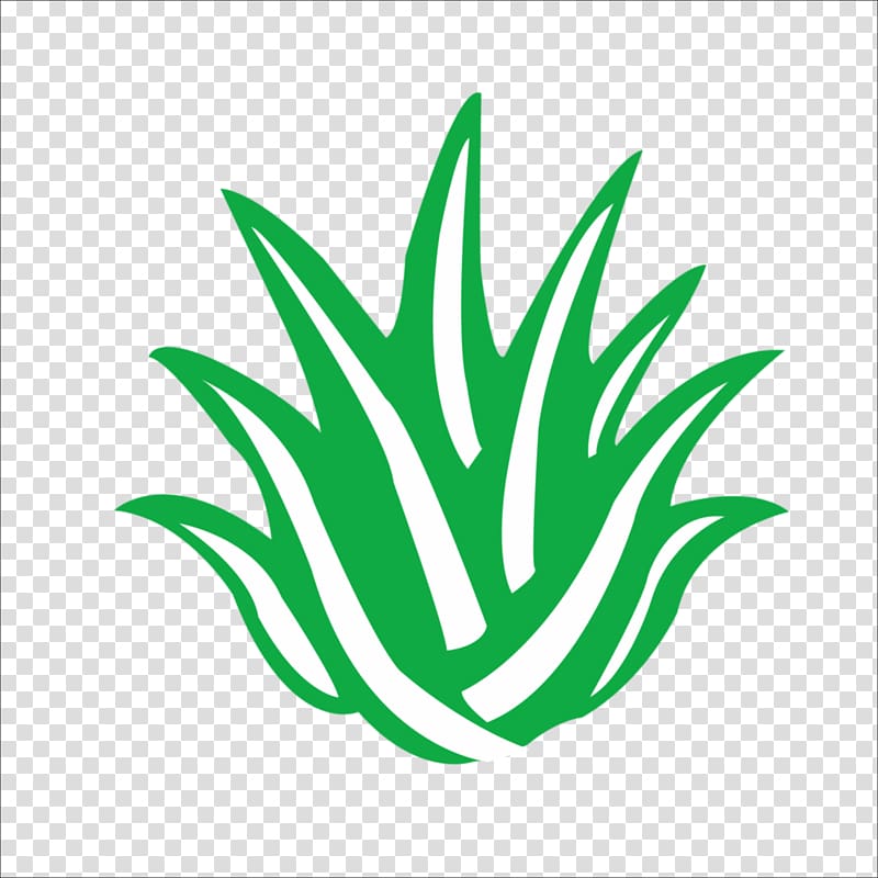 Aloe vera Logo Icon, Aloe transparent background PNG clipart