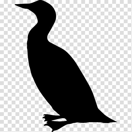 Bird Duck Mallard Cormorant Goose, Bird transparent background PNG clipart