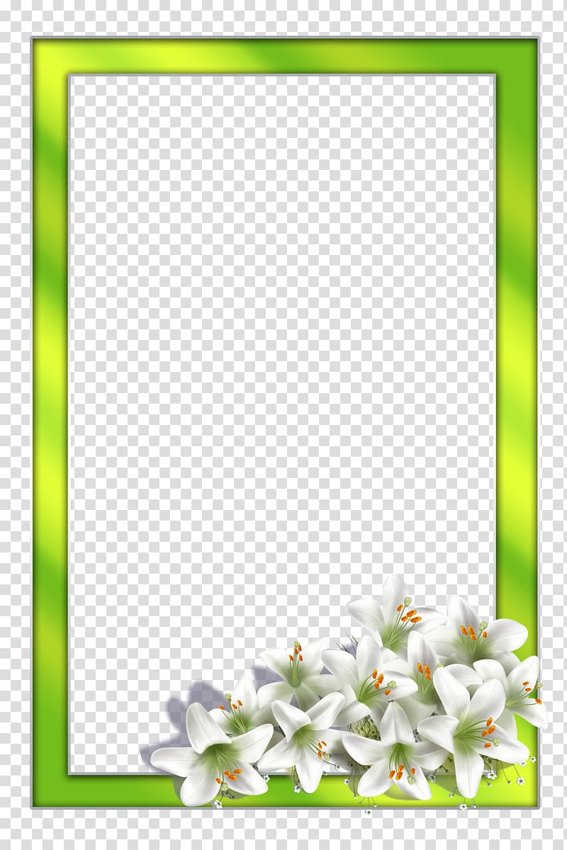 Floral design Cut flowers, others transparent background PNG clipart