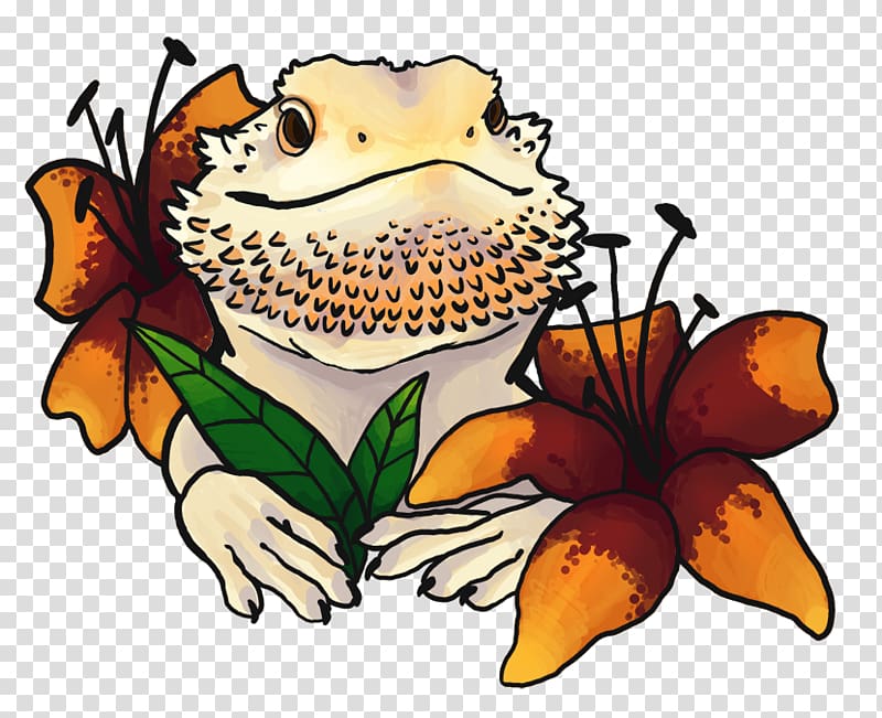 Bearded Dragon Sticker Decal , bearded dragon transparent background PNG clipart