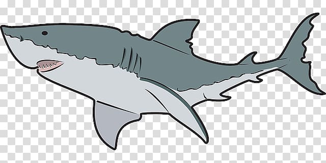 Whale shark , steeple transparent background PNG clipart