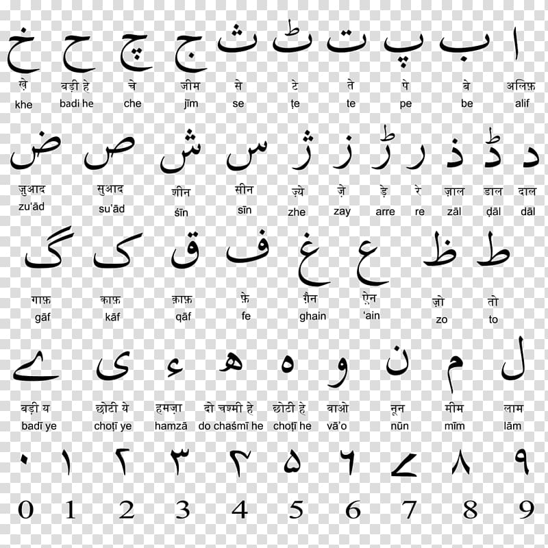 Hindi–Urdu controversy Urdu alphabet Hindustani language, others transparent background PNG clipart
