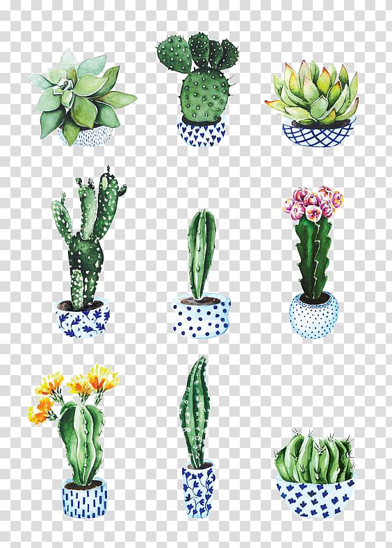 cartoon painted potted cactus transparent background PNG clipart
