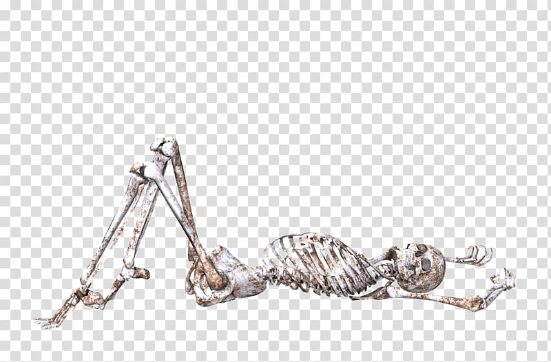 human skeleton illustration, Skeleton Lying on Back transparent background PNG clipart
