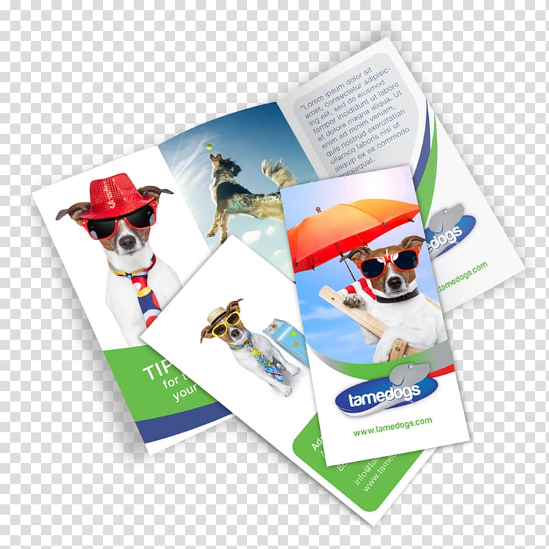 Mockup Brochure Graphic design Printing, Mockup folder transparent background PNG clipart