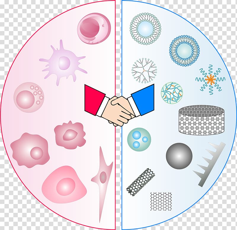 Drug delivery Engineering Biomaterial Therapy, qian yu transparent background PNG clipart