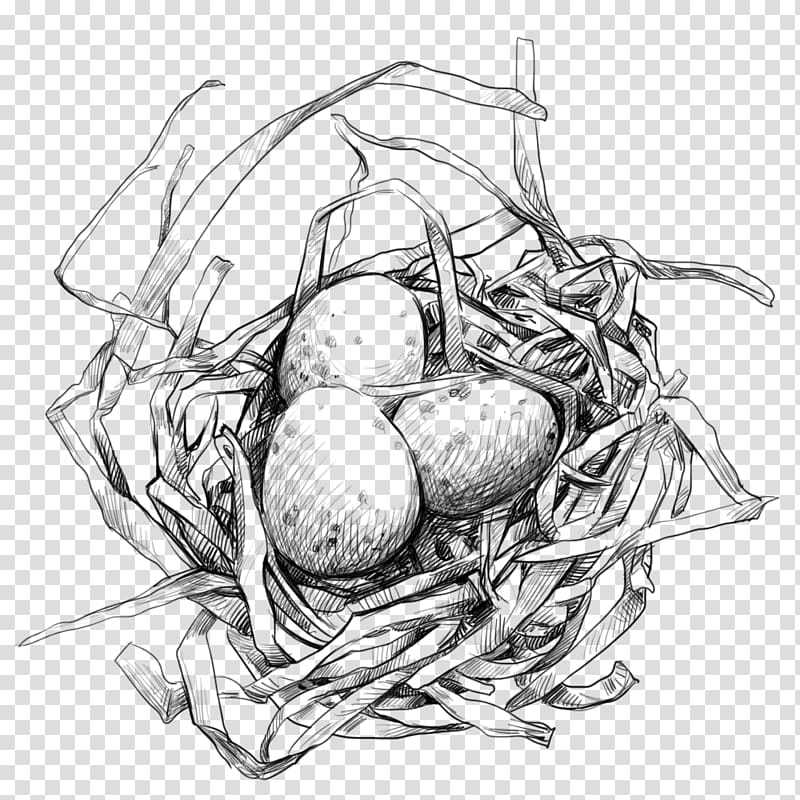 Bird nest with egg clipart, Illustration of a Bird Nest with Egg