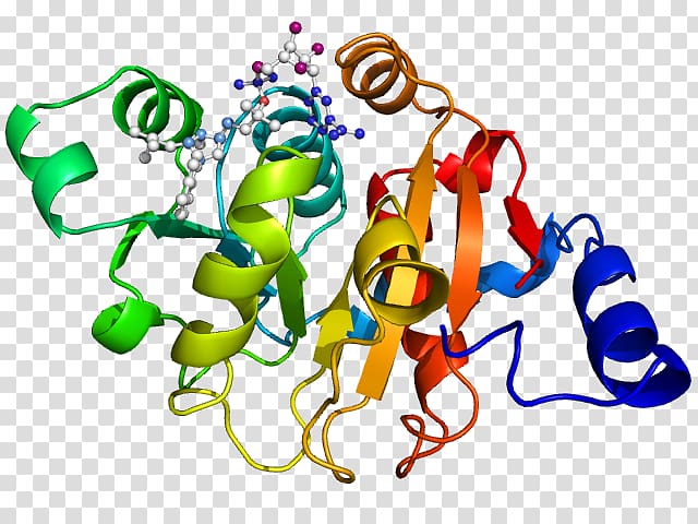 Protein Gene expression Ketol-acid reductoisomerase , others transparent background PNG clipart