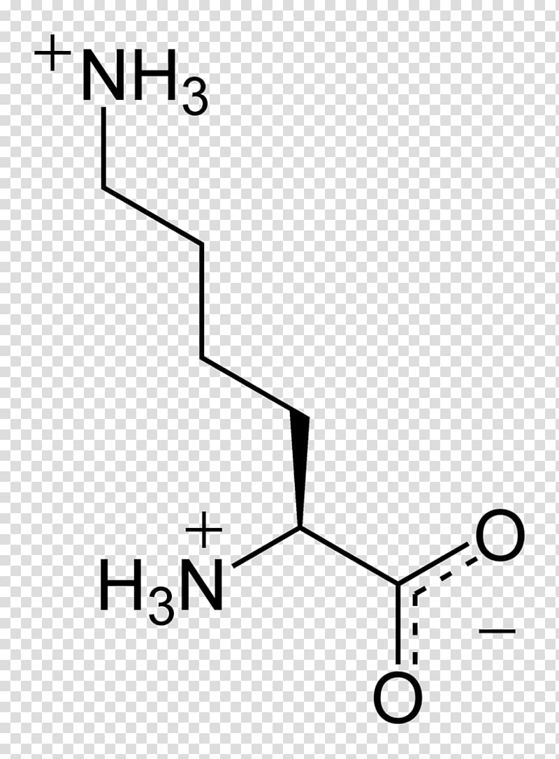 Nucleic acid Monomer Amino acid Nucleotide, others transparent background PNG clipart