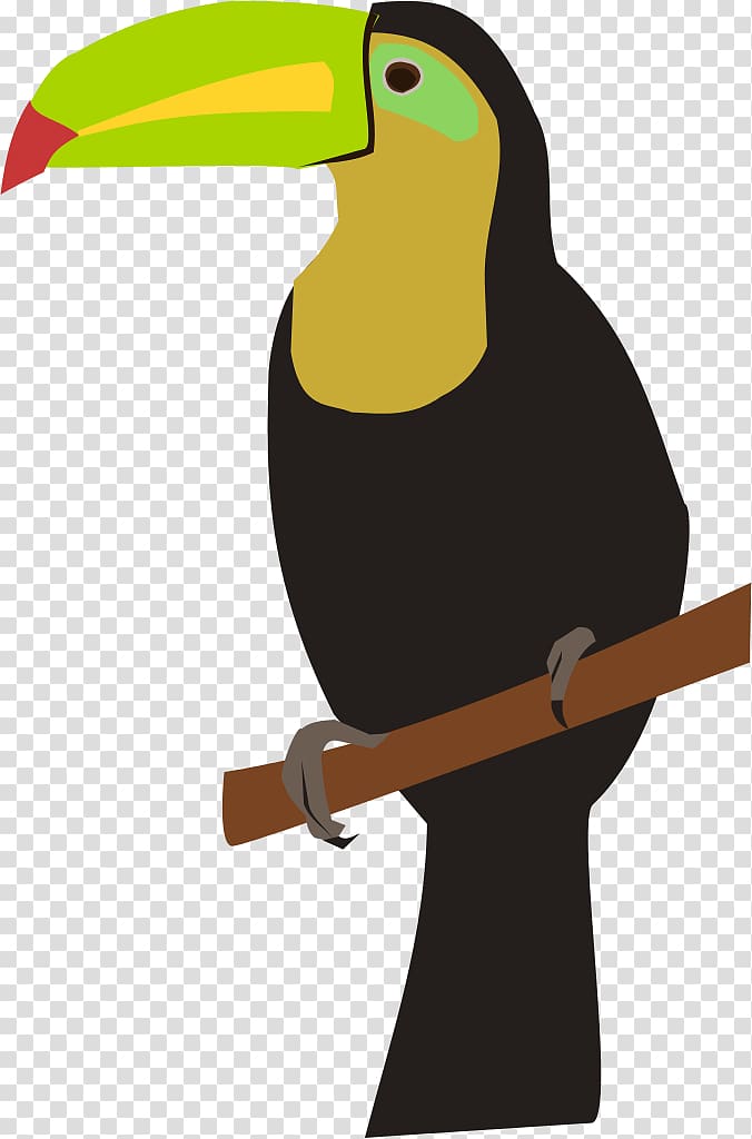 Toucan , toucan transparent background PNG clipart