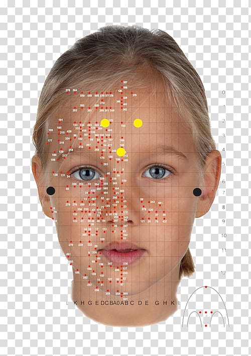 Face Reflexology Chart
