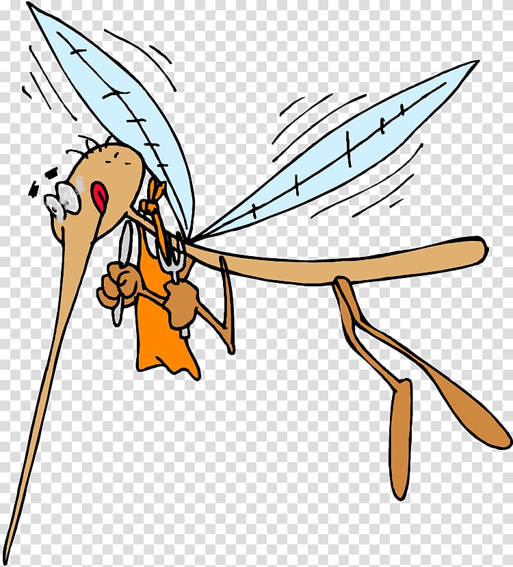 Mosquito Viral hemorrhagic fever Japanese encephalitis Animal bite Disease, mosquito transparent background PNG clipart