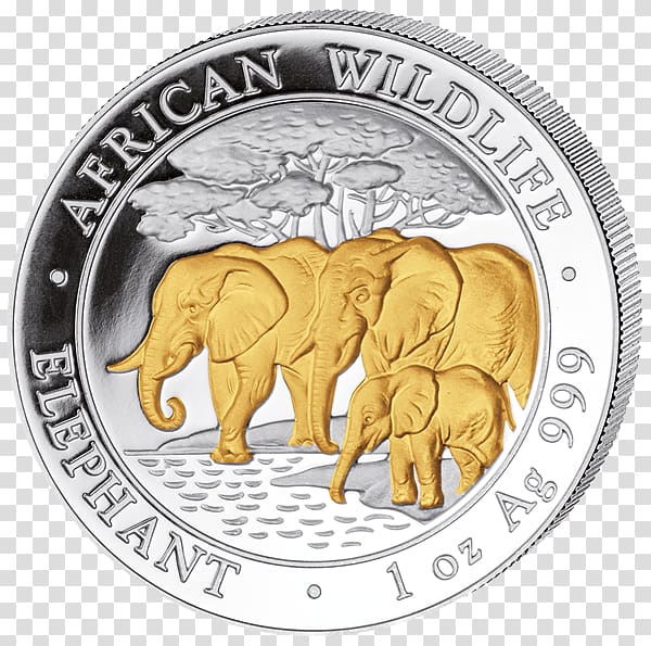 African elephant Coin Indian elephant Gold Elephants, Coin transparent background PNG clipart