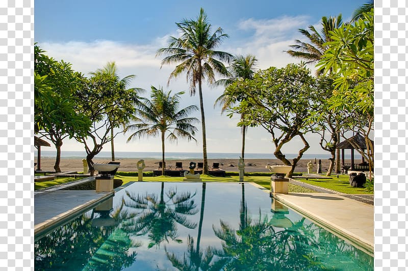 Sanur, Bali Villa Cozy Swimming pool Cananga odorata, ylang ylang transparent background PNG clipart