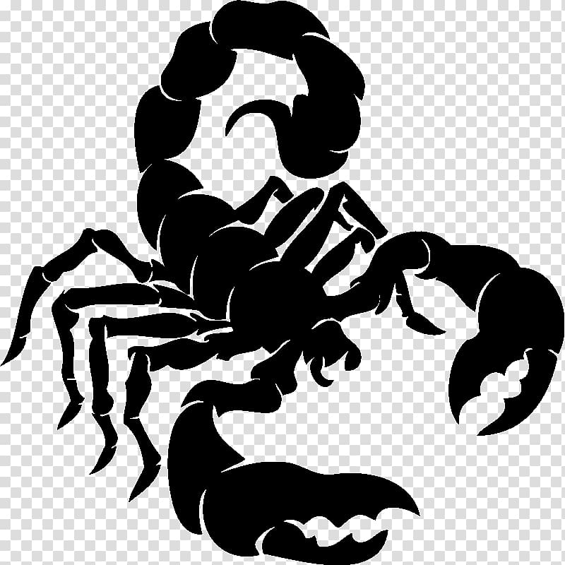 Wall decal Bumper sticker Scorpion, Scorpion transparent background PNG clipart