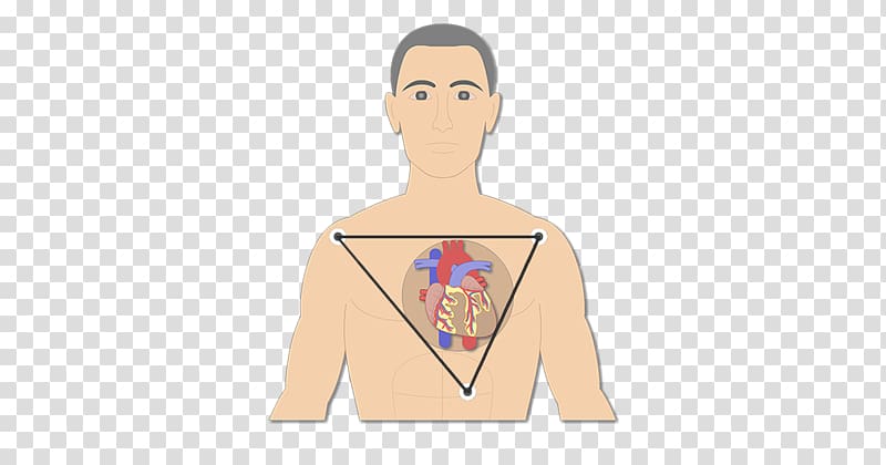 Electrocardiography Bipolar disorder Electrical conduction system of the heart, Standard Test transparent background PNG clipart