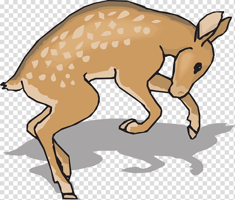 White-tailed deer , Running deer transparent background PNG clipart