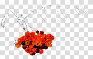 Body Jewellery Fruit, Jewellery transparent background PNG clipart thumbnail