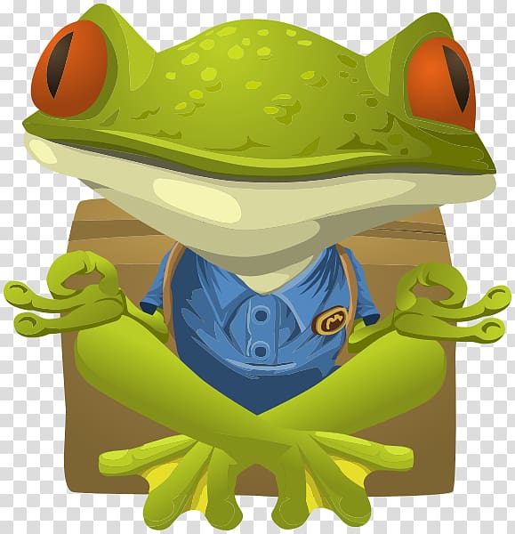 Frog Yoga Lithobates clamitans Meditation , frog transparent background PNG clipart