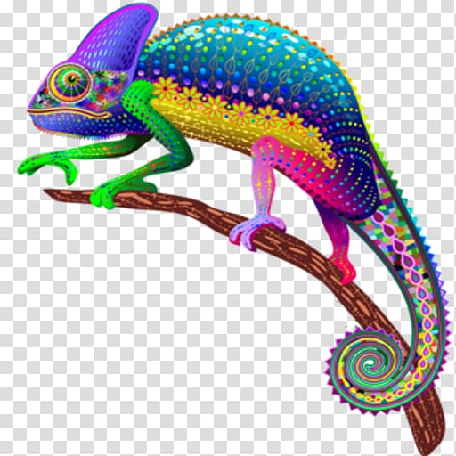 Panther chameleon Lizard Veiled chameleon Mimicry , lizard transparent background PNG clipart