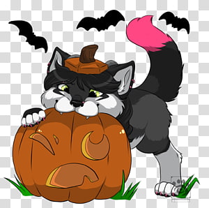 Whiskers Dog Cat , Dog transparent background PNG clipart thumbnail