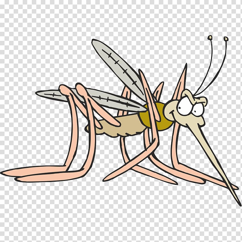 Mosquito Household Insect Repellents , mosquito transparent background PNG clipart