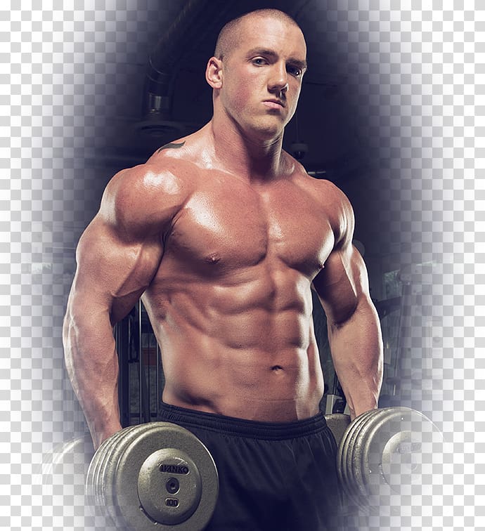 Bodybuilding Shoulder Human leg Squat Leg curl, bodybuilding transparent background PNG clipart