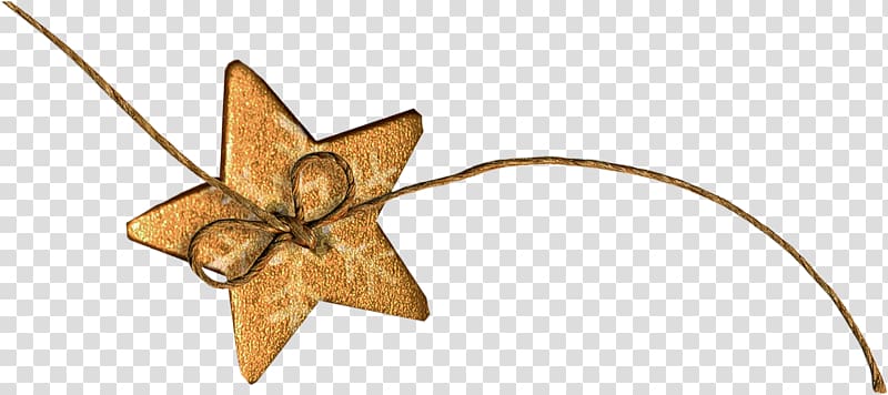 Pentagram Five-pointed star, Cute little leaf transparent background PNG clipart