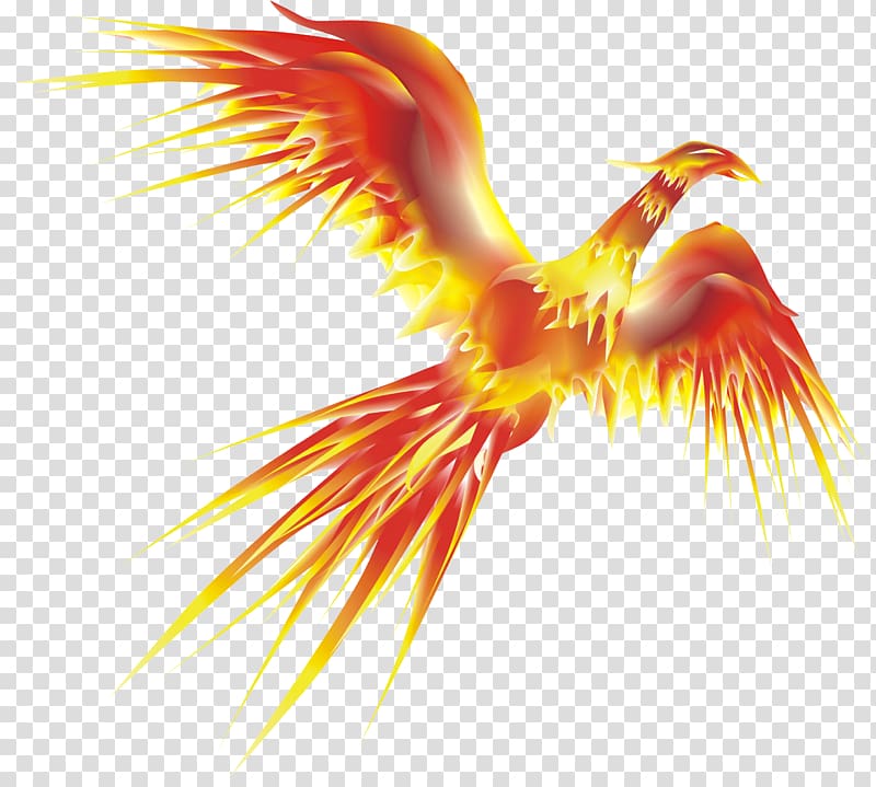 Phoenix Display resolution, Phoenix transparent background PNG clipart