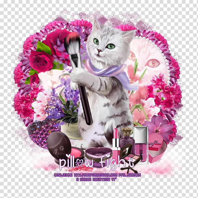 Kitten Meow Cayenne Email Cut flowers, Pillow fight transparent background PNG clipart