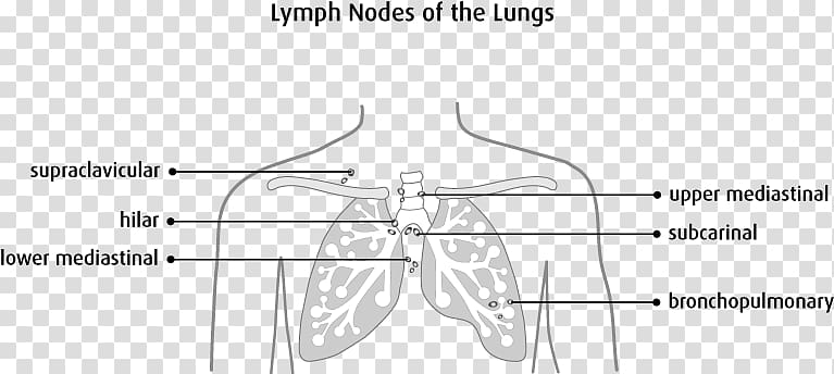 Point Angle Line art H&M Organ, cancer cell details transparent background PNG clipart