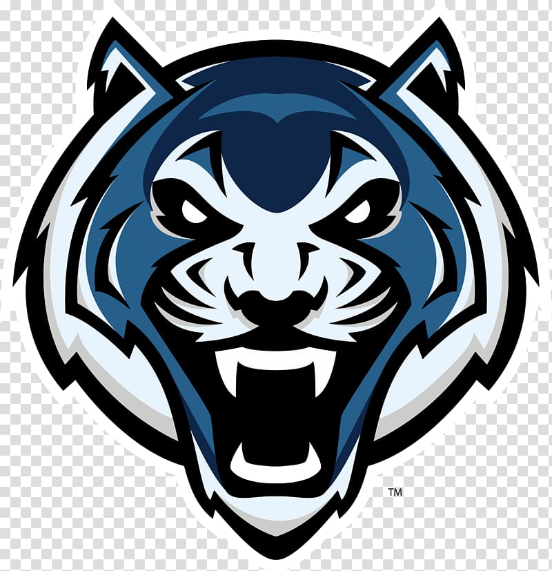 Lincoln University University of Central Missouri Lincoln Blue Tigers women\'s basketball Northeastern State University Truman State University, Brandsbaycom transparent background PNG clipart