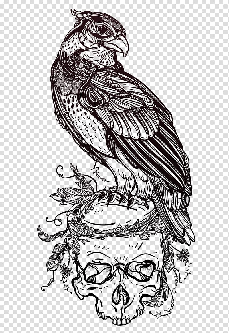gray bird perching on skull illustration, Bird of prey Owl Drawing Tattoo, Eagle Skull illustrator material transparent background PNG clipart