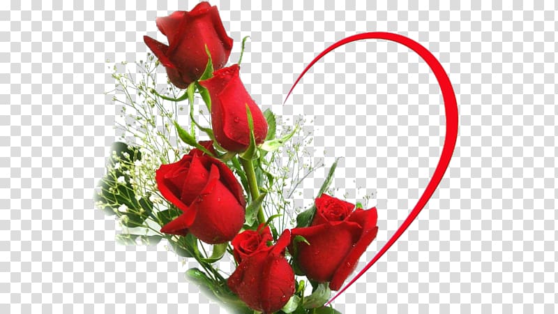 Desktop Rose Love Flower , rose transparent background PNG clipart