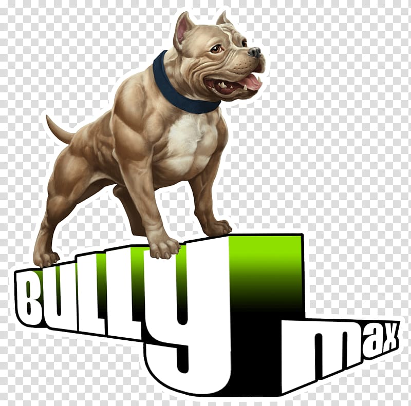 American Bully American Pit Bull Terrier American Bulldog, bull transparent background PNG clipart