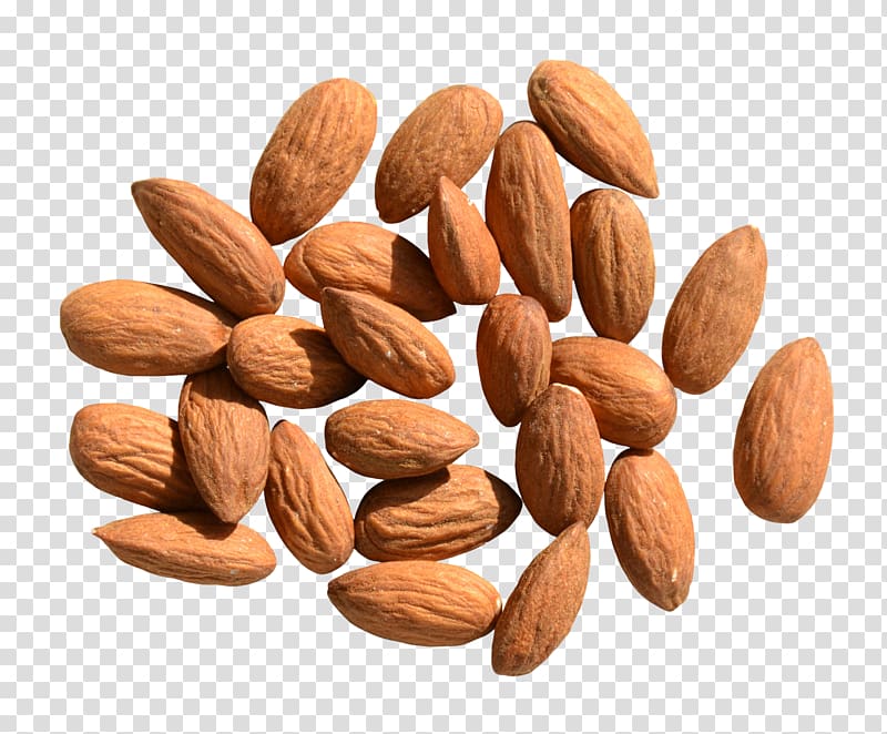 Nut Food, almond transparent background PNG clipart