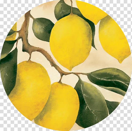 Lemon Citron Orchard Fruit, lemon transparent background PNG clipart
