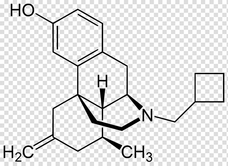 Codeine Opioid Desomorphine Hydromorphone, Orphan transparent background PNG clipart