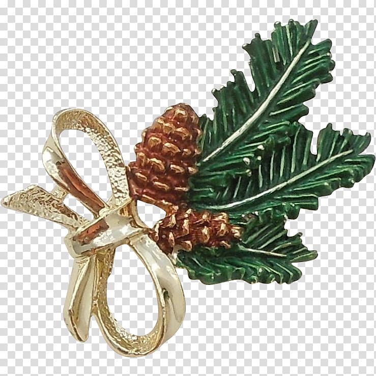 Tree Conifers Christmas ornament Pine, pine cone transparent background PNG clipart