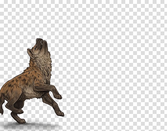 Lion Spotted hyena Cat Carnivora, hyena transparent background PNG clipart