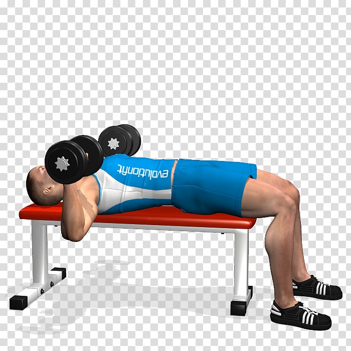Bench press Dumbbell Barbell Fly, dumbbell transparent background PNG clipart