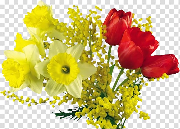 Flower bouquet International Women's Day , mimosa transparent background PNG clipart