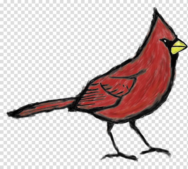 1998 St. Louis Cardinals season Arizona Cardinals Memphis Redbirds 2009 Major League Baseball season, red cardinal transparent background PNG clipart