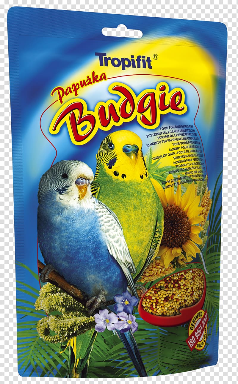Budgerigar Cockatiel Bird Food Red factor canary, Bird transparent background PNG clipart